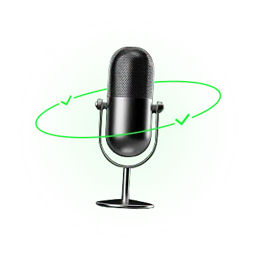 Voice assistant feedback